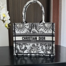 Christian Dior Shopping Bags